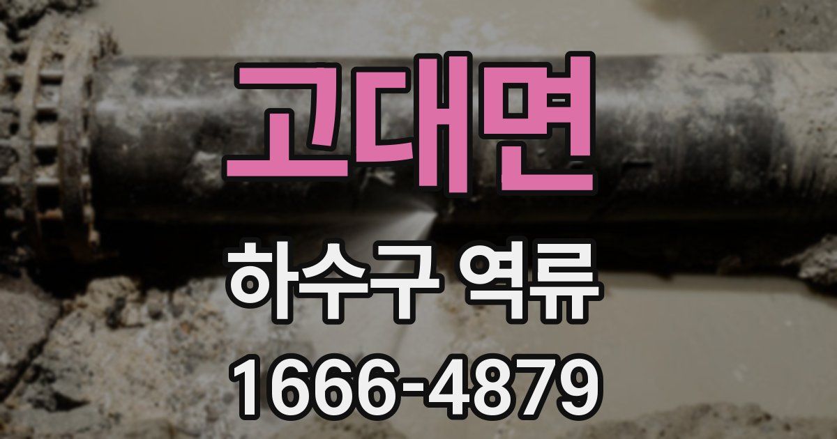 고대면 하수구 역류