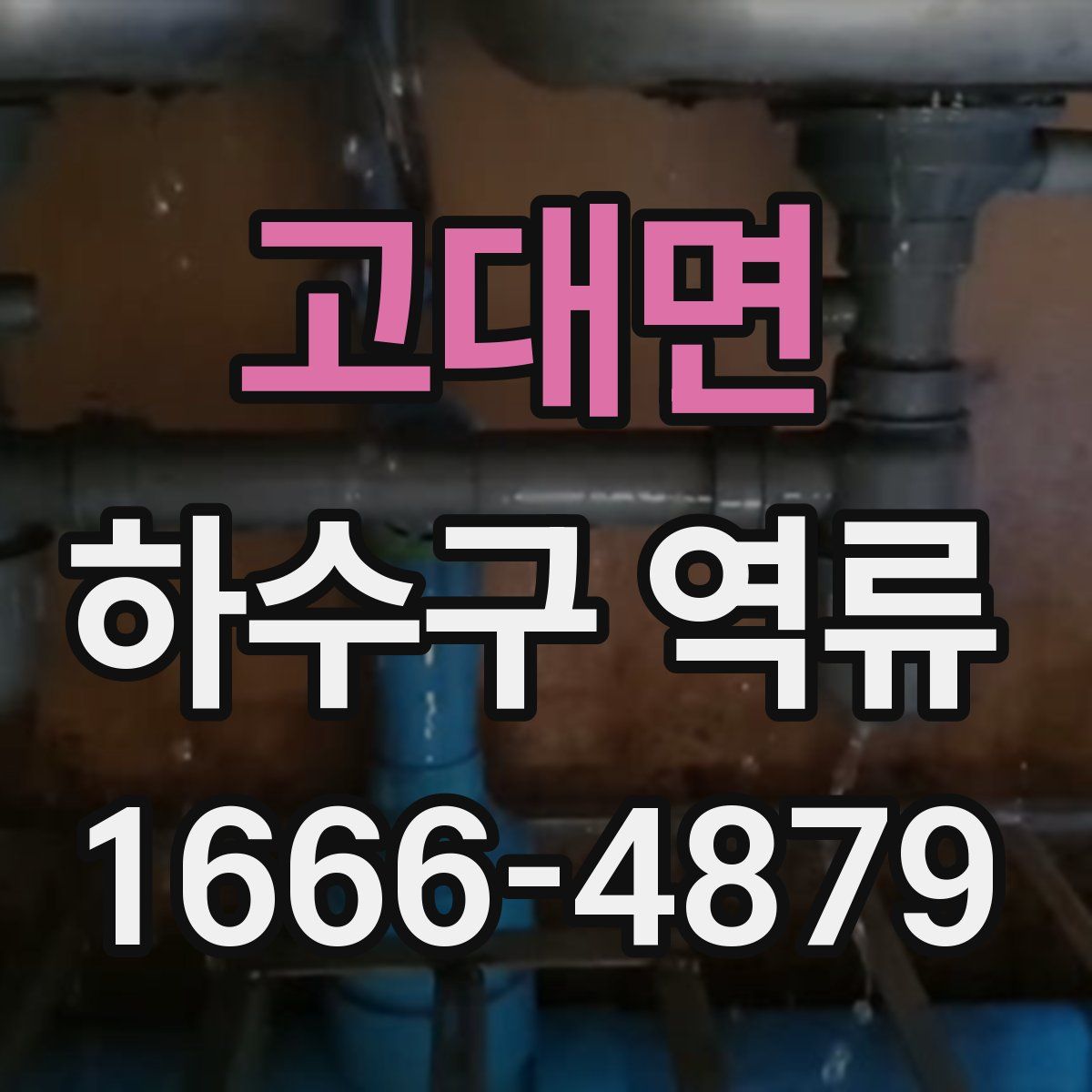 고대면 하수구 역류