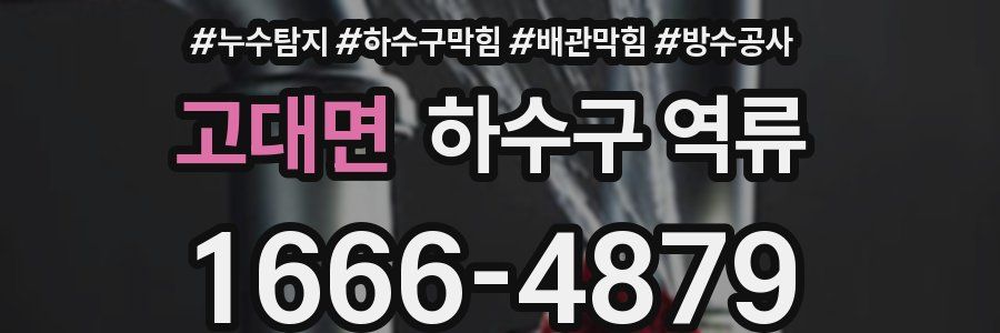 고대면 하수구 역류