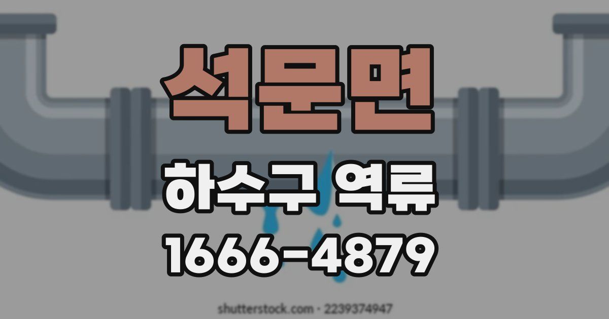 석문면 하수구 역류