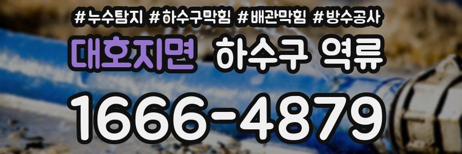대호지면 하수구 역류