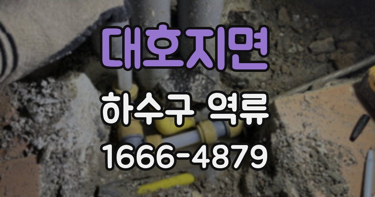 대호지면 하수구 역류