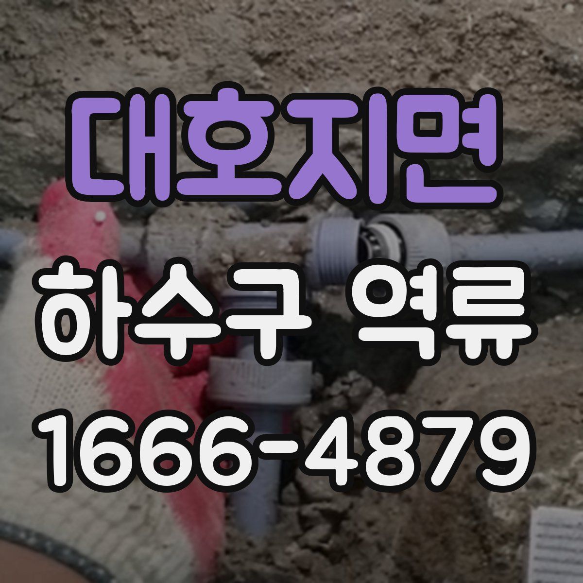대호지면 하수구 역류