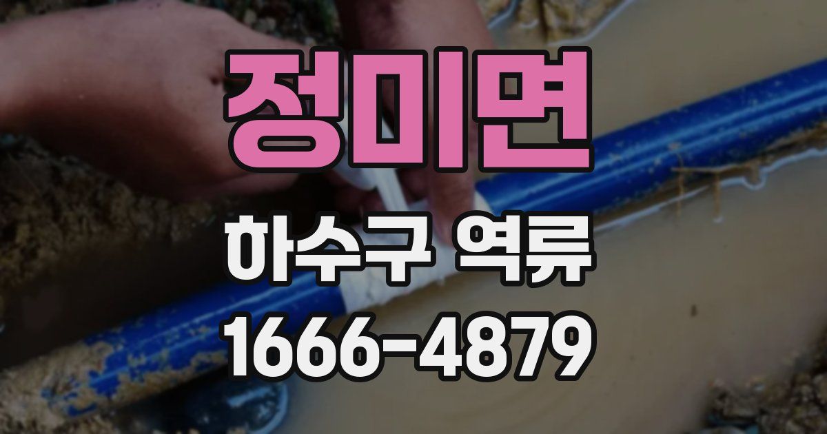 정미면 하수구 역류