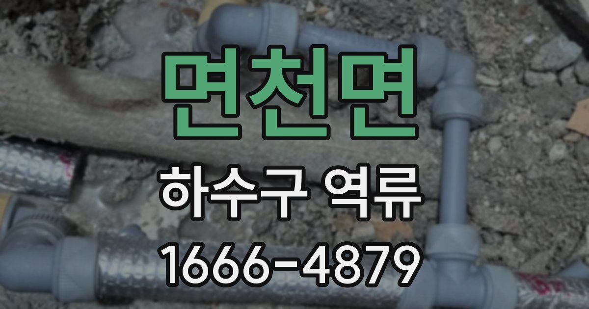 면천면 하수구 역류
