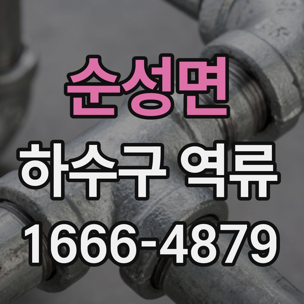 순성면 하수구 역류
