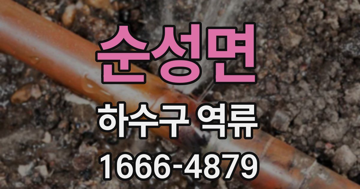 순성면 하수구 역류