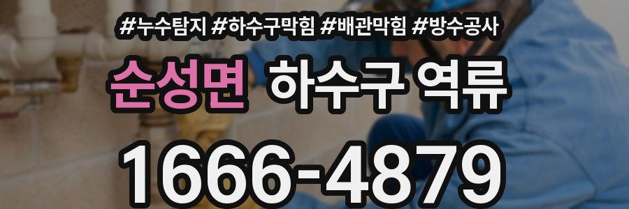 순성면 하수구 역류