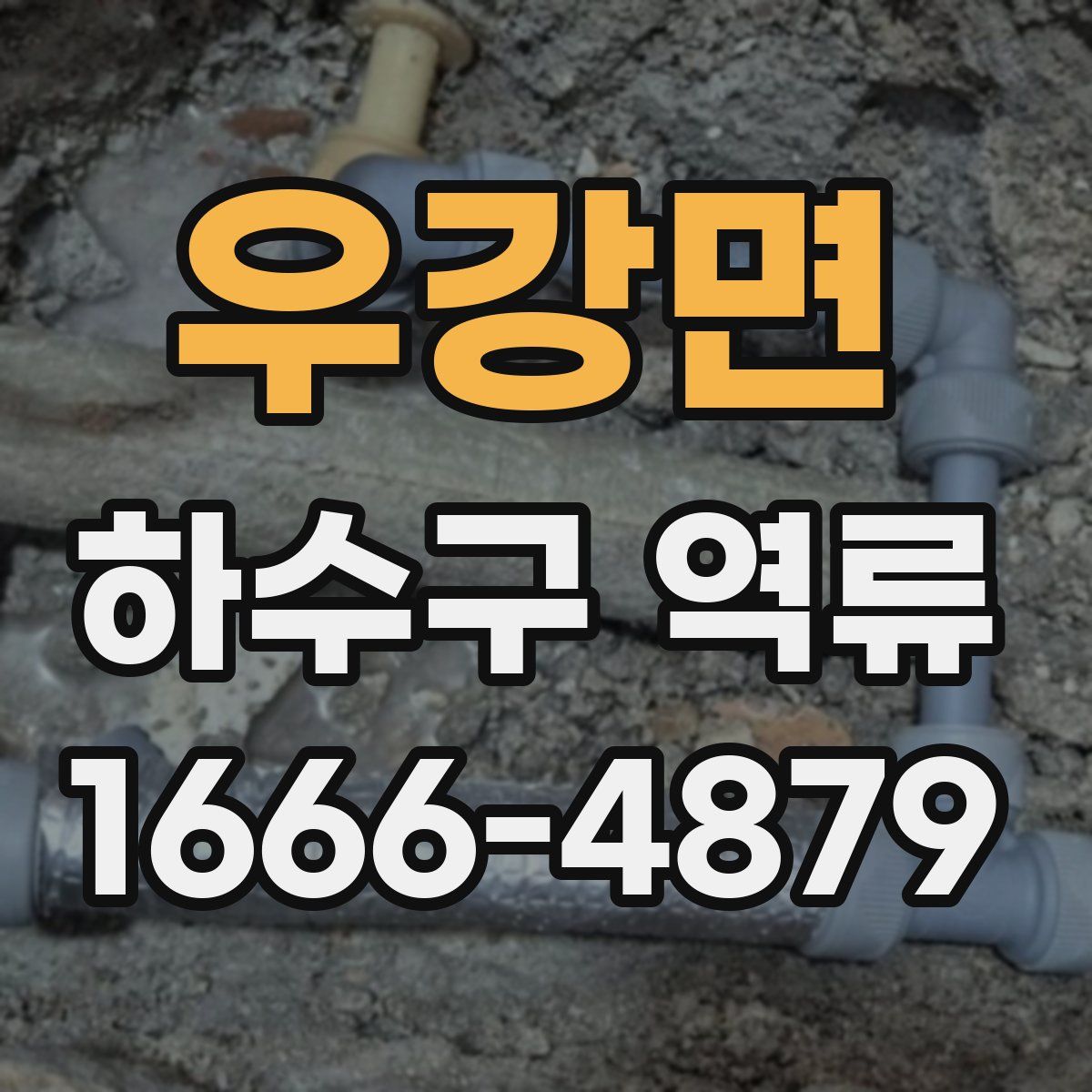 우강면 하수구 역류