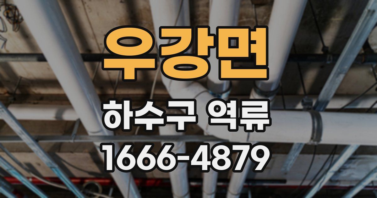 우강면 하수구 역류