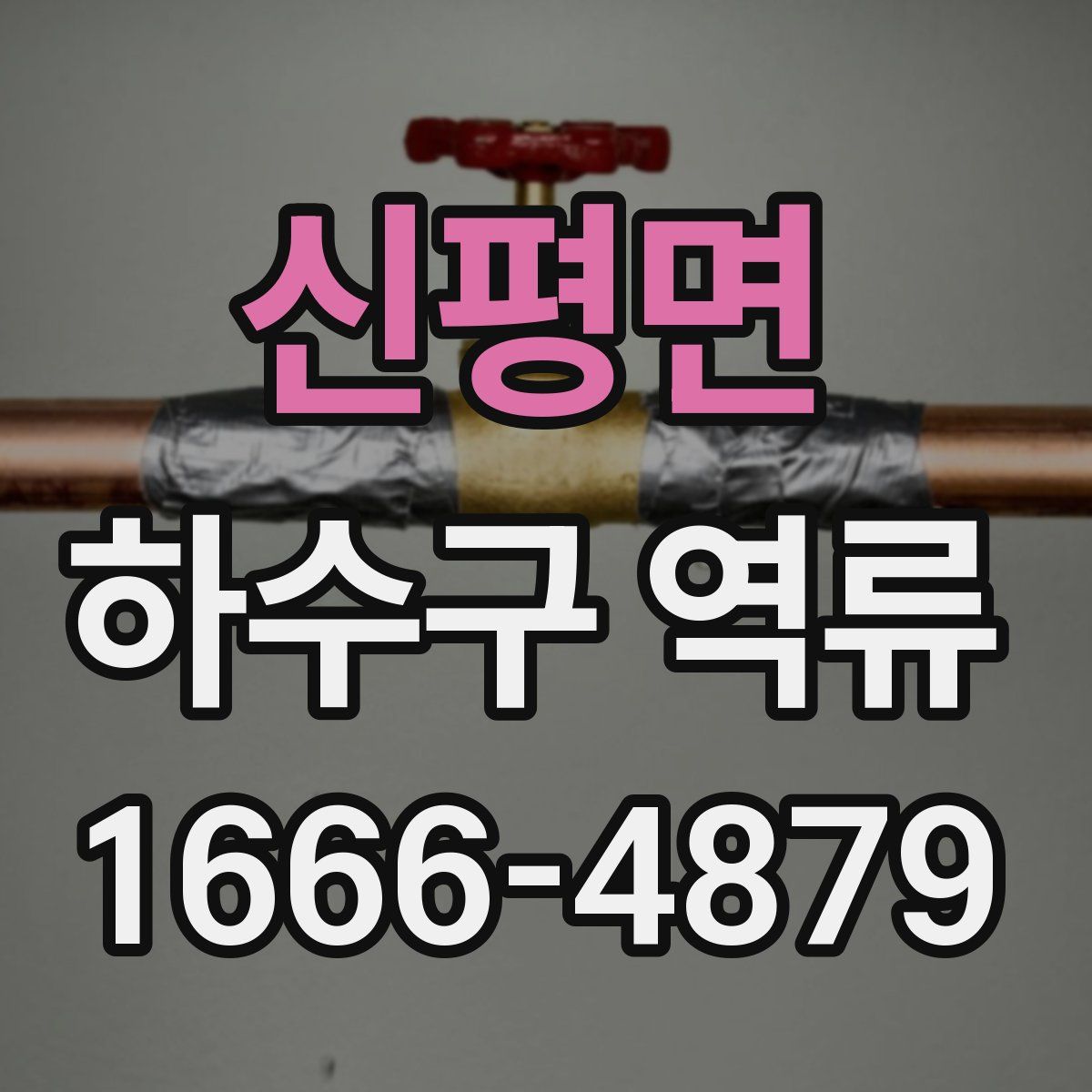 신평면 하수구 역류