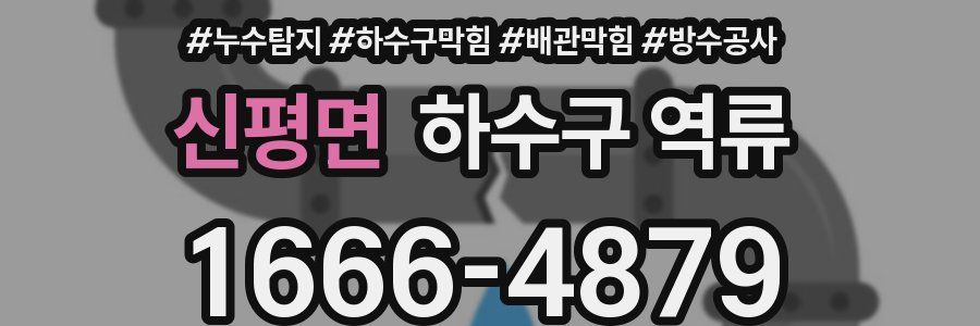 신평면 하수구 역류