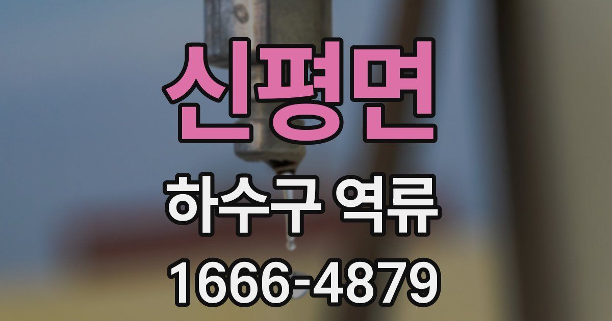 신평면 하수구 역류