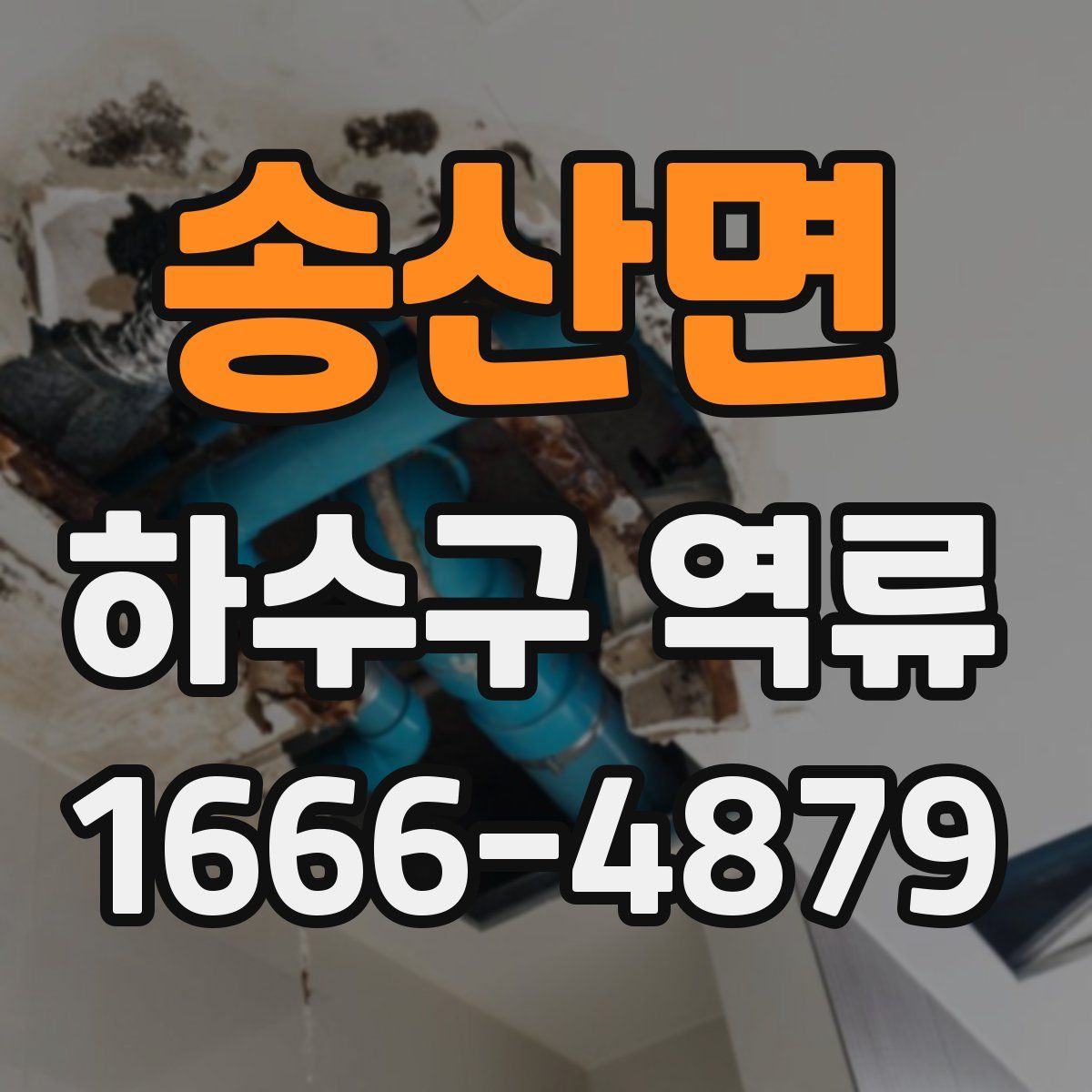 송산면 하수구 역류