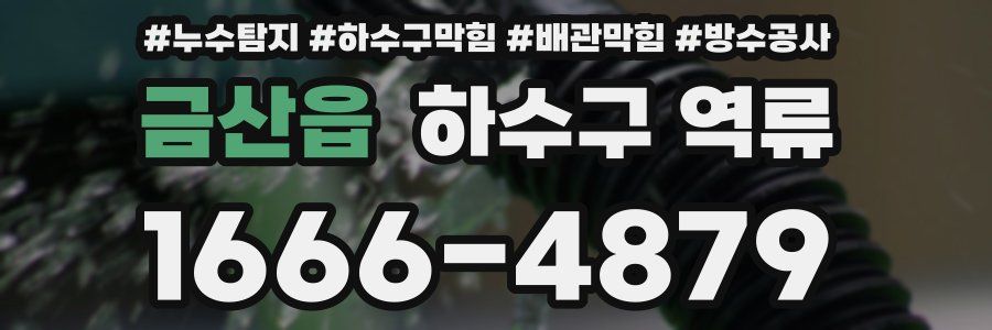금산읍 하수구 역류