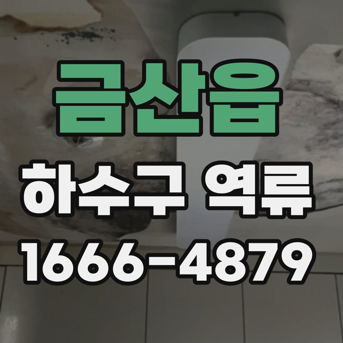 금산읍 하수구 역류