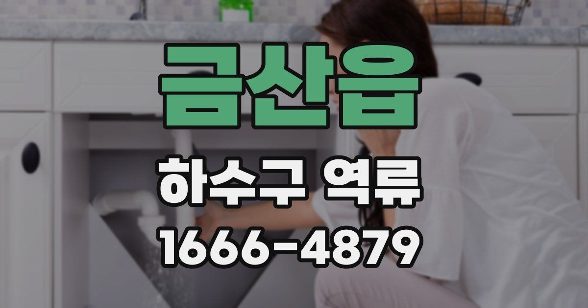 금산읍 하수구 역류
