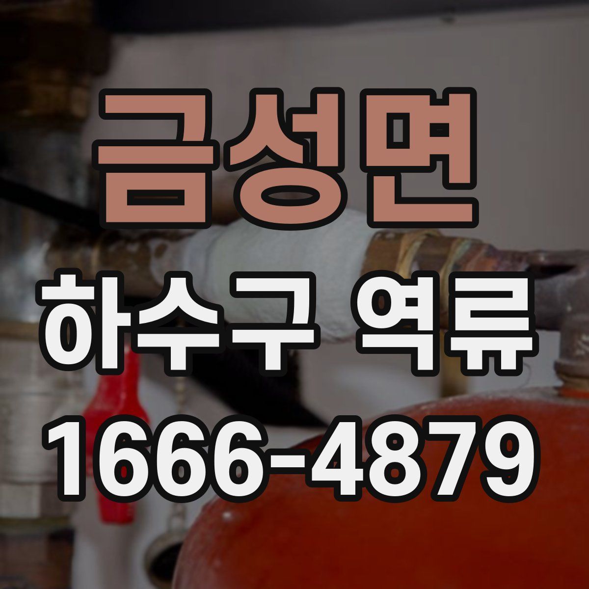 금성면 하수구 역류