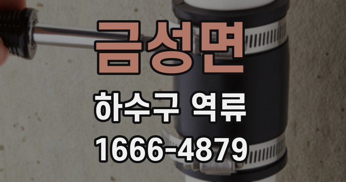 금성면 하수구 역류