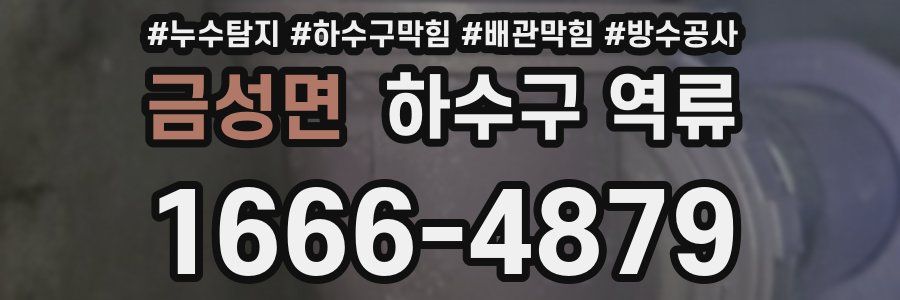 금성면 하수구 역류