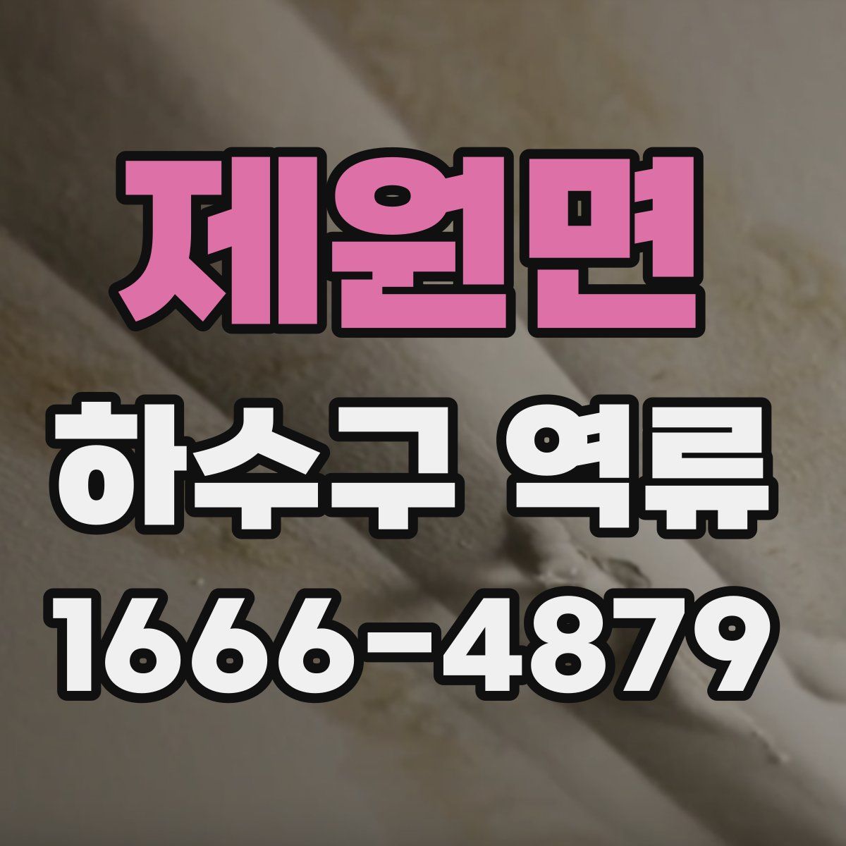 제원면 하수구 역류