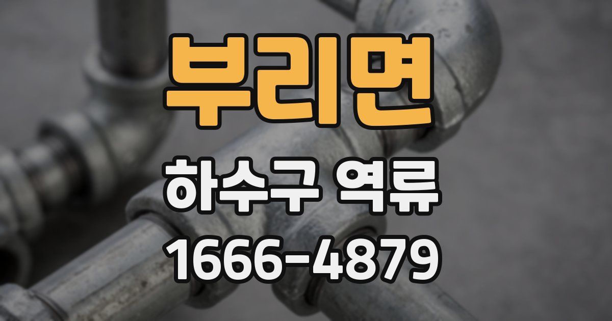 부리면 하수구 역류