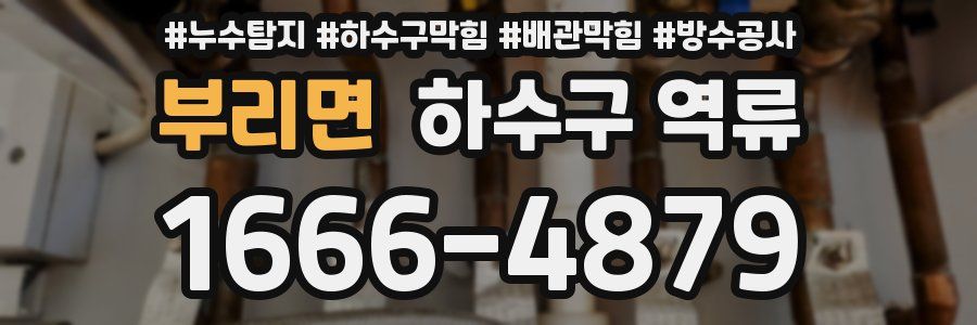 부리면 하수구 역류