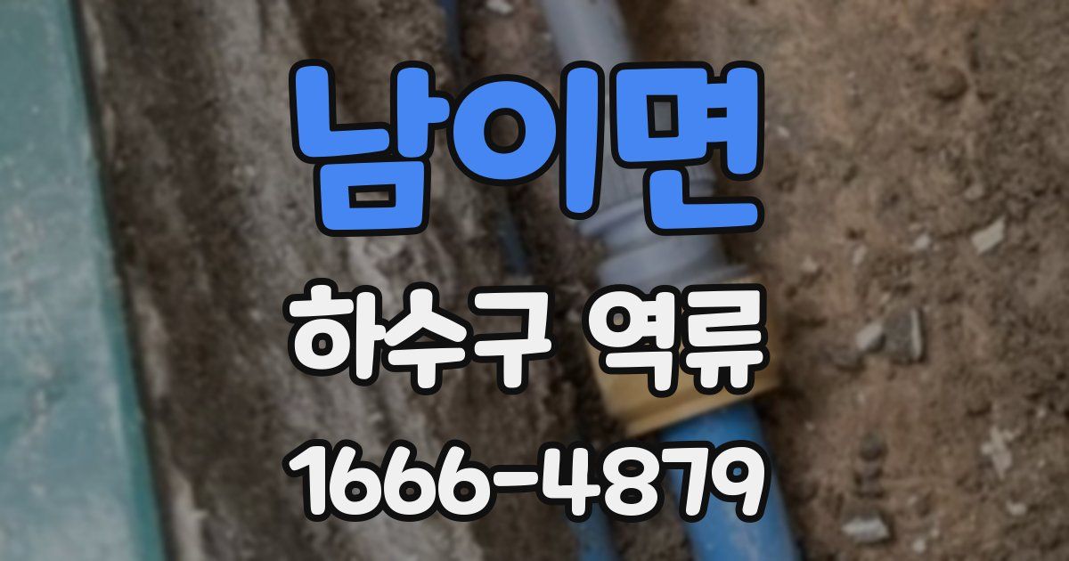 남이면 하수구 역류