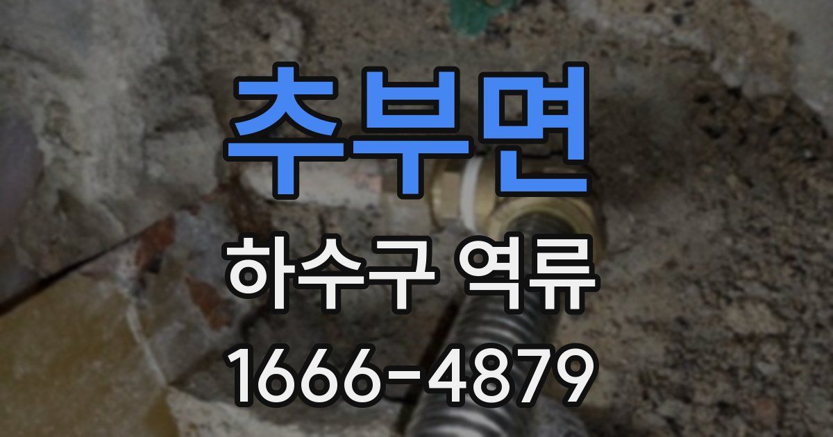 추부면 하수구 역류
