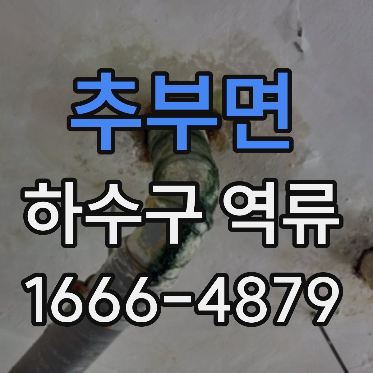 추부면 하수구 역류
