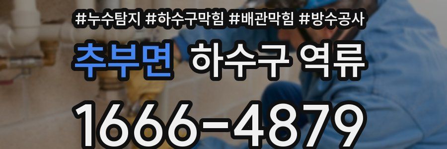 추부면 하수구 역류