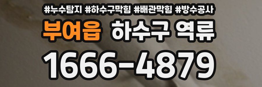 부여읍 하수구 역류