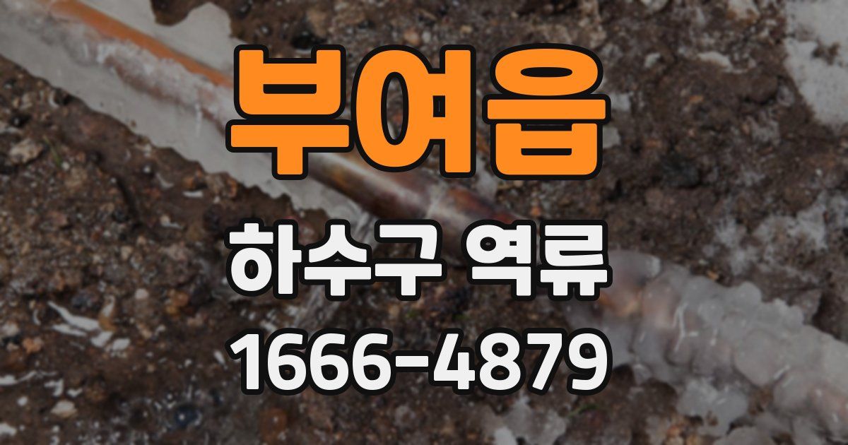 부여읍 하수구 역류