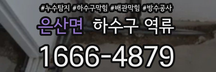 은산면 하수구 역류