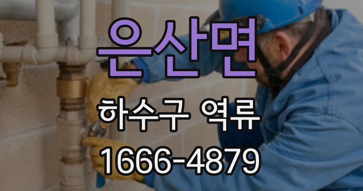 은산면 하수구 역류