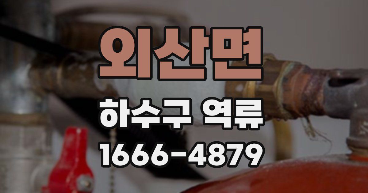외산면 하수구 역류