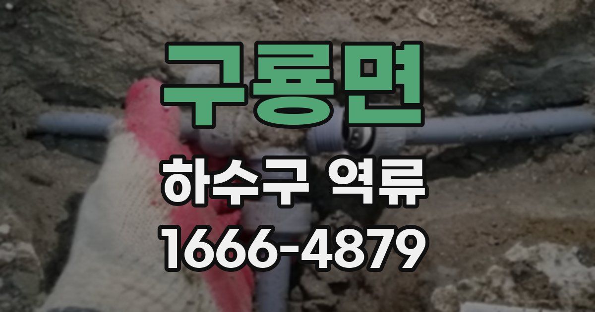 구룡면 하수구 역류