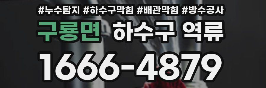 구룡면 하수구 역류