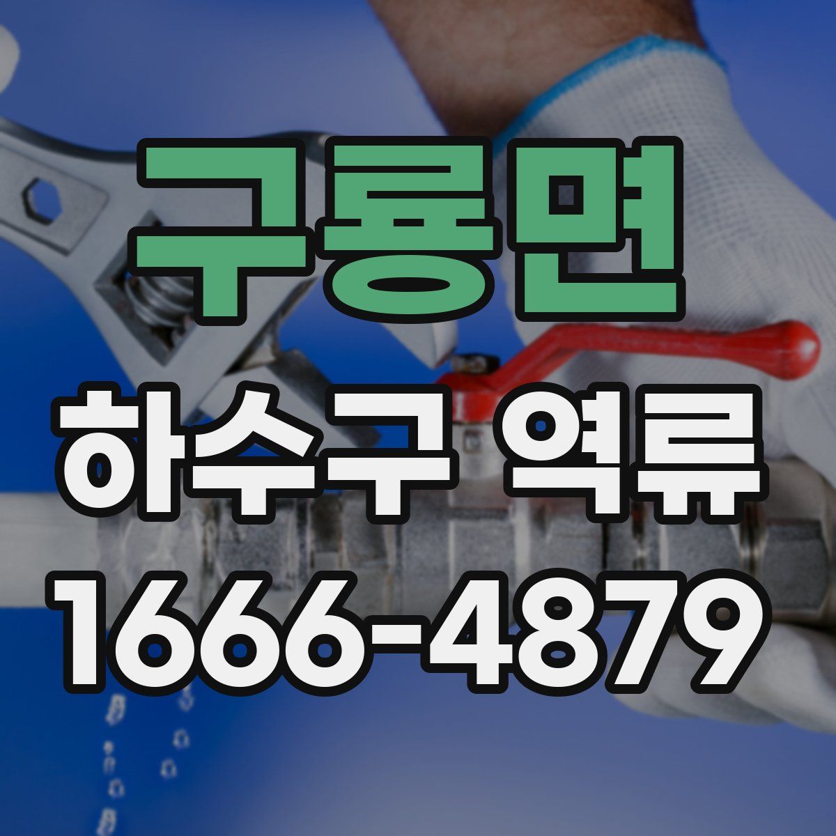 구룡면 하수구 역류