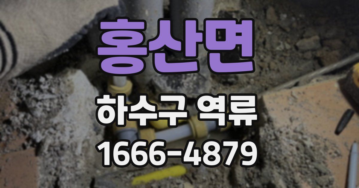 홍산면 하수구 역류
