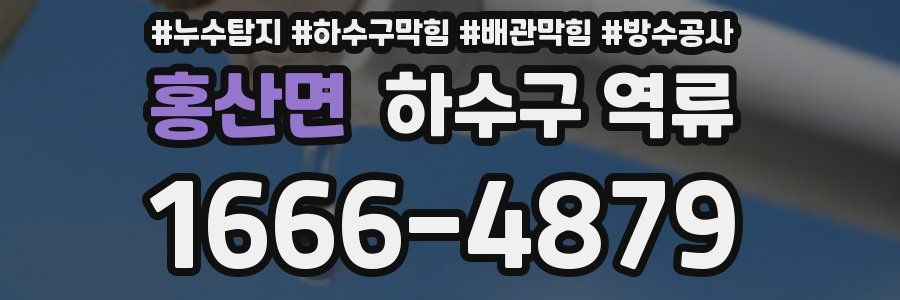 홍산면 하수구 역류
