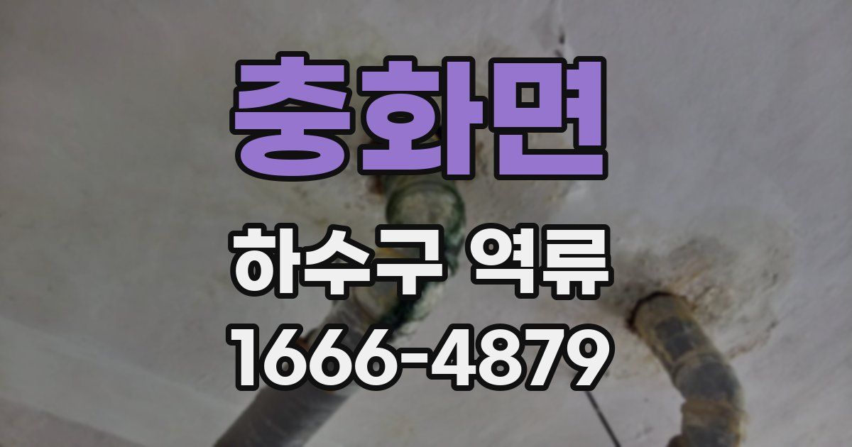 충화면 하수구 역류