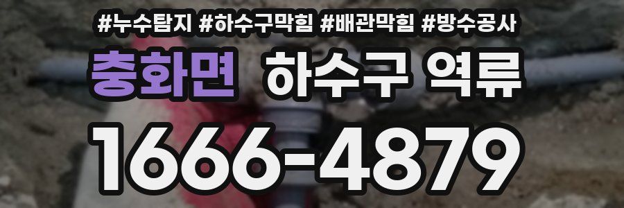 충화면 하수구 역류