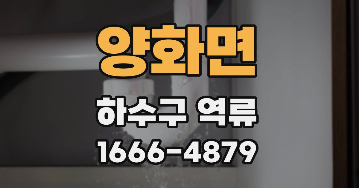 양화면 하수구 역류