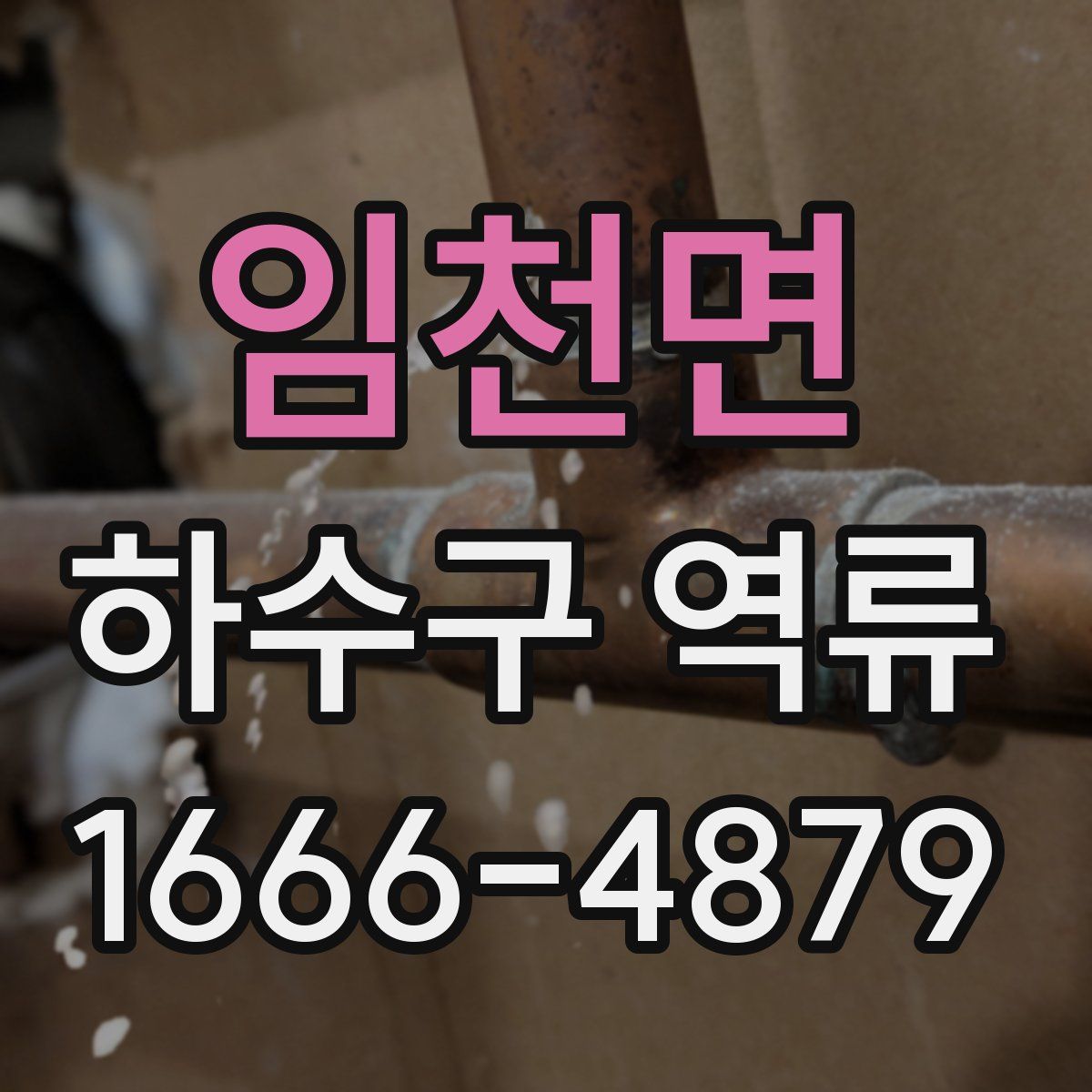임천면 하수구 역류