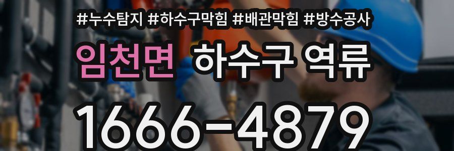 임천면 하수구 역류