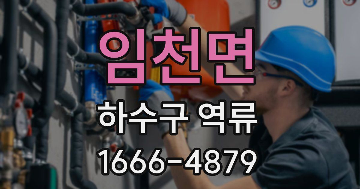 임천면 하수구 역류