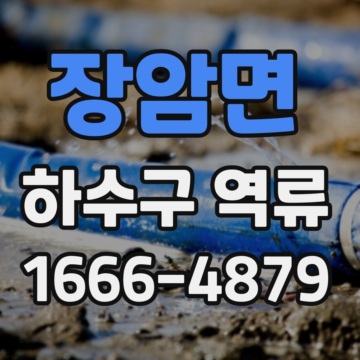 장암면 하수구 역류
