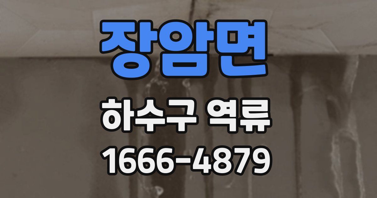 장암면 하수구 역류