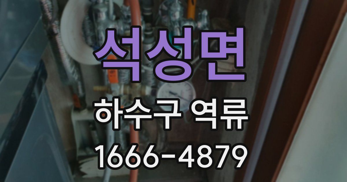 석성면 하수구 역류